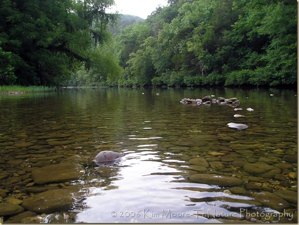 Buffalo River