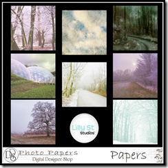 LSS_PhotoPapers_Preview