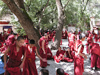 Traveling With Tiger Slideshow