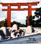 Traveling With Tiger Slideshow