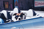 Traveling With Tiger Slideshow