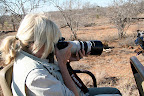 Traveling With Tiger Slideshow