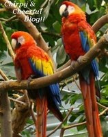 [Chirpy & Cheerful Blog Award[3].jpg]