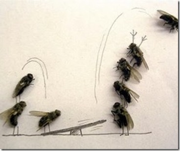 fluge2