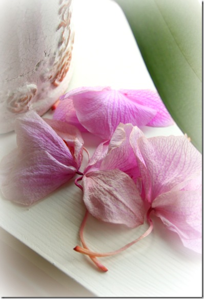 blomster2