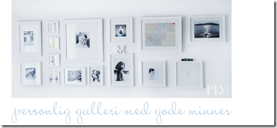 bildevegg3[1]