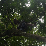 P7230149_800x600.jpg