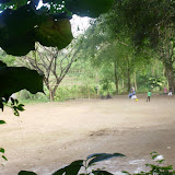 P7230166_800x600.jpg