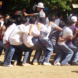 P7230120_800x600.jpg