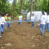 P7230138_800x600.jpg
