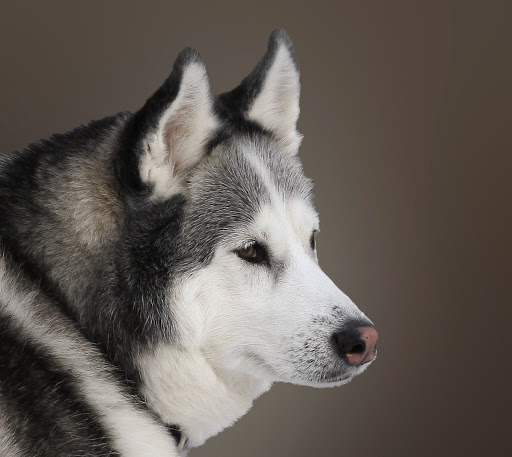 IMAGE: http://lh4.ggpht.com/_RSDQDKPui5k/S2i-L1SIHYI/AAAAAAAAH3k/a2pgAi5hlNU/IMG_7570_C.jpg