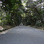 P1020474.JPG