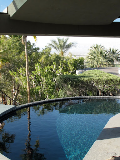 The gorgeous curved pool of the Elrod house
