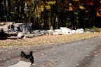 Exploring the stone yard
