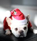 Waiting for Santa