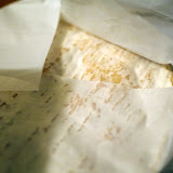 Goat Brie