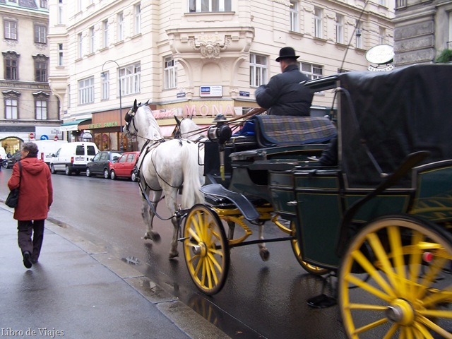 [Carrozas para pasear por Viena[9].jpg]