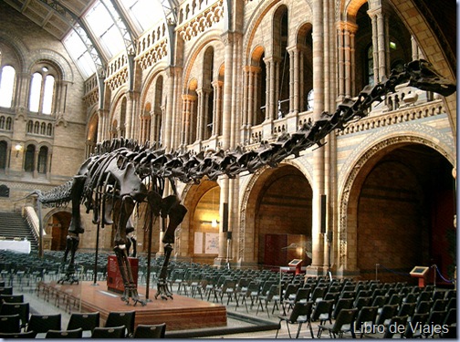 Esqueleto de dinosaurio en el Museo de Historia Natural de Londres
