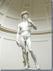 El David de Miguel Ángel