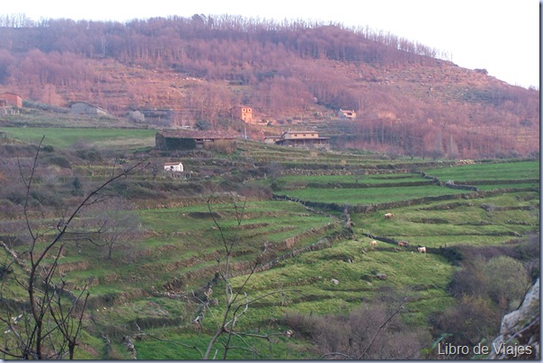 Paisajes de La Vera, bosques de castaños y robles al final del invierono