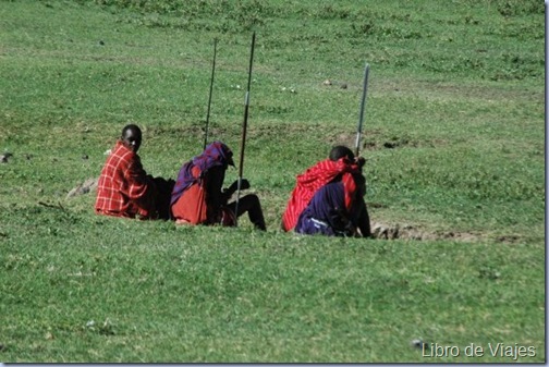 Masais pasturando en el Crater del Ngorongoro