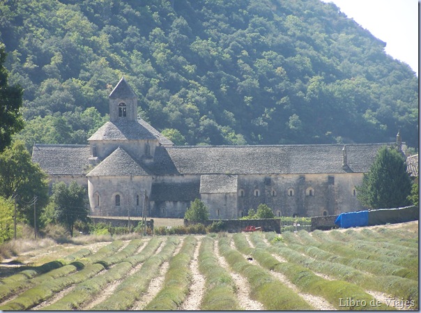 Abadía de Sénanque cercana a Gordes en Provenza Abadía de Sénanque cercana a Gordes en Provenza