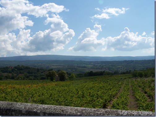 Campos de Provenza - Viñedos