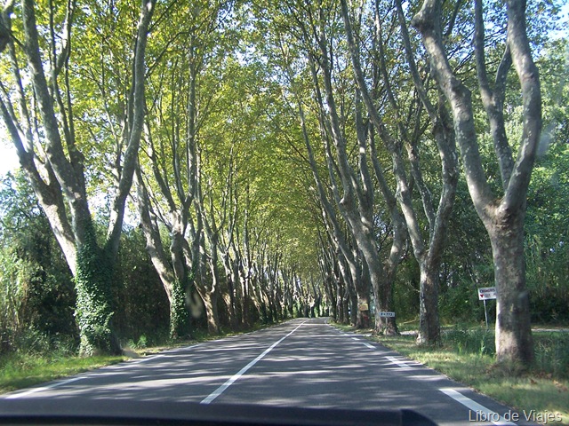 [Carretera para llegar a Saint Rèmy en Provence[5].jpg]