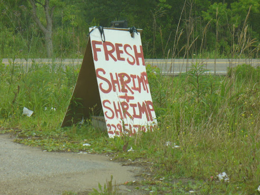 Fresh From The Boat