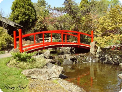 Picture 011japenesegardens Picture 011japenesegardens