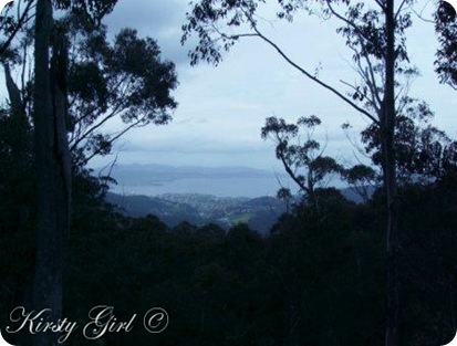 Mt. Wellington Track #10