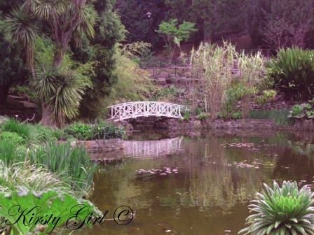 [Picture 059gardens3[5].jpg]