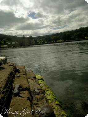 Mason Cove Port Arthur #32 Mason Cove Port Arthur #32