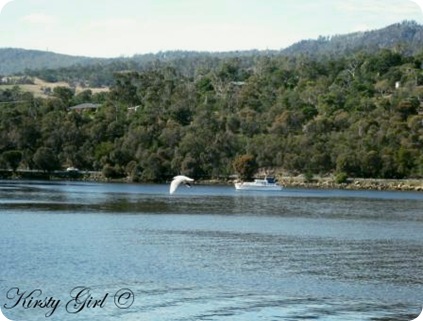 Skipping Stones #6