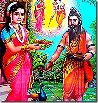 Sita offering food to Ravana in disguise