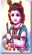 Lord Krishna