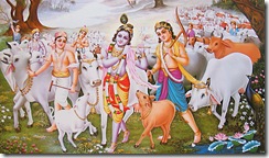 Krishna and Balarama tending to cows