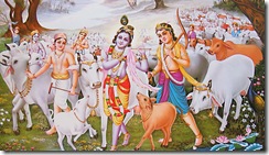 Krishna Balarama and friends