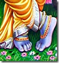 Lord Krishna's lotus feet