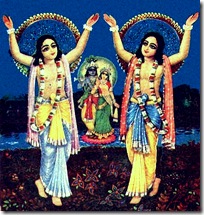 Nimai Nitai chanting Hare Krishna
