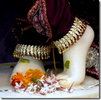 Krishna's lotus feet