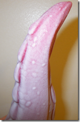 tailstretcher tip