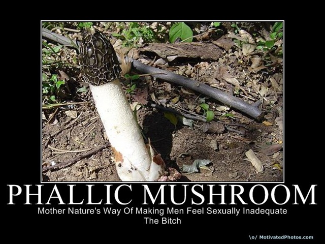 [633789414186147040-PHALLICMUSHROOM[4].jpg]