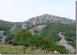 IMG_5733 IMG_5733