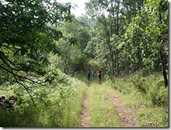 IMG_5739 IMG_5739