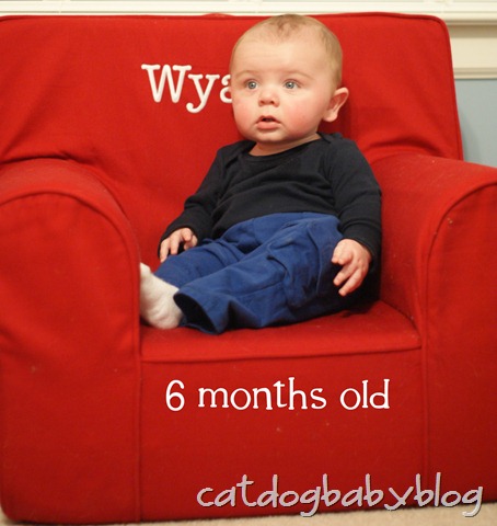 [2011-01-07 Wyatt 6 months[4].jpg]