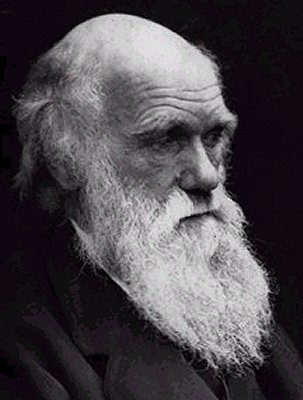 [darwin[9].jpg]