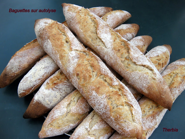 Baguettes sur autolyse IMG_0097
