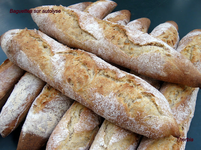 Baguettes sur autolyse IMG_0096