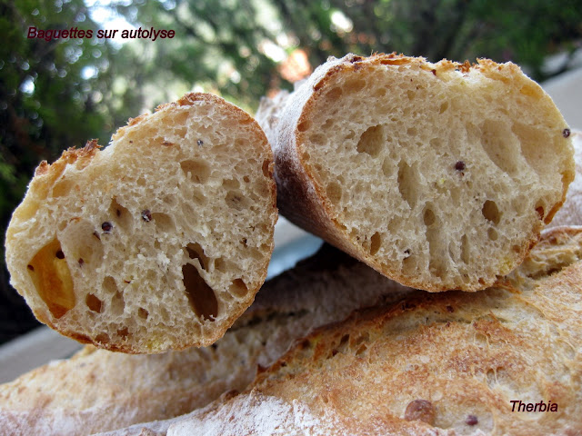 Baguettes sur autolyse IMG_0098
